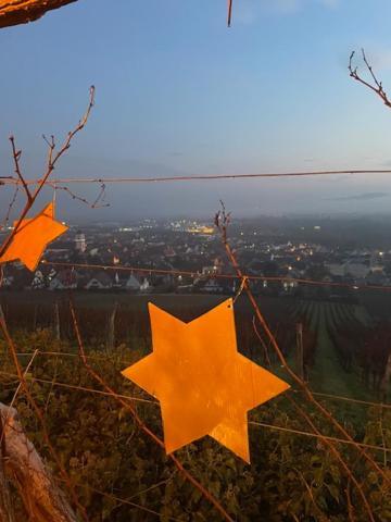 Kirchheim Chez Schumi 빌라 외부 사진