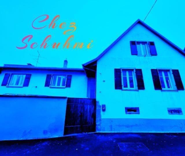 Kirchheim Chez Schumi 빌라 외부 사진